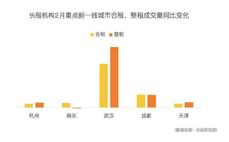 租房市场新趋势，变化与挑战并存，租房市场的新变化与挑战并存的趋势分析